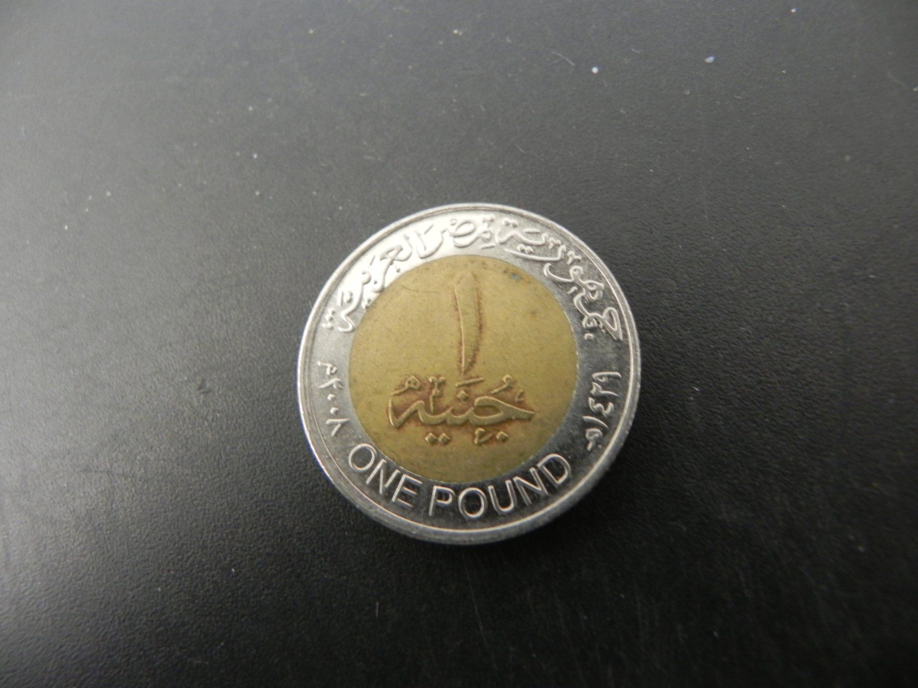 Alle Münzen: Ägypten 1 Pound 2008 – Gebraucht aus Biel/Bienne von Gogolozi