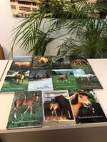 Kleine Pferdegeschichten ! Stiftung für das Pferd! Vintage