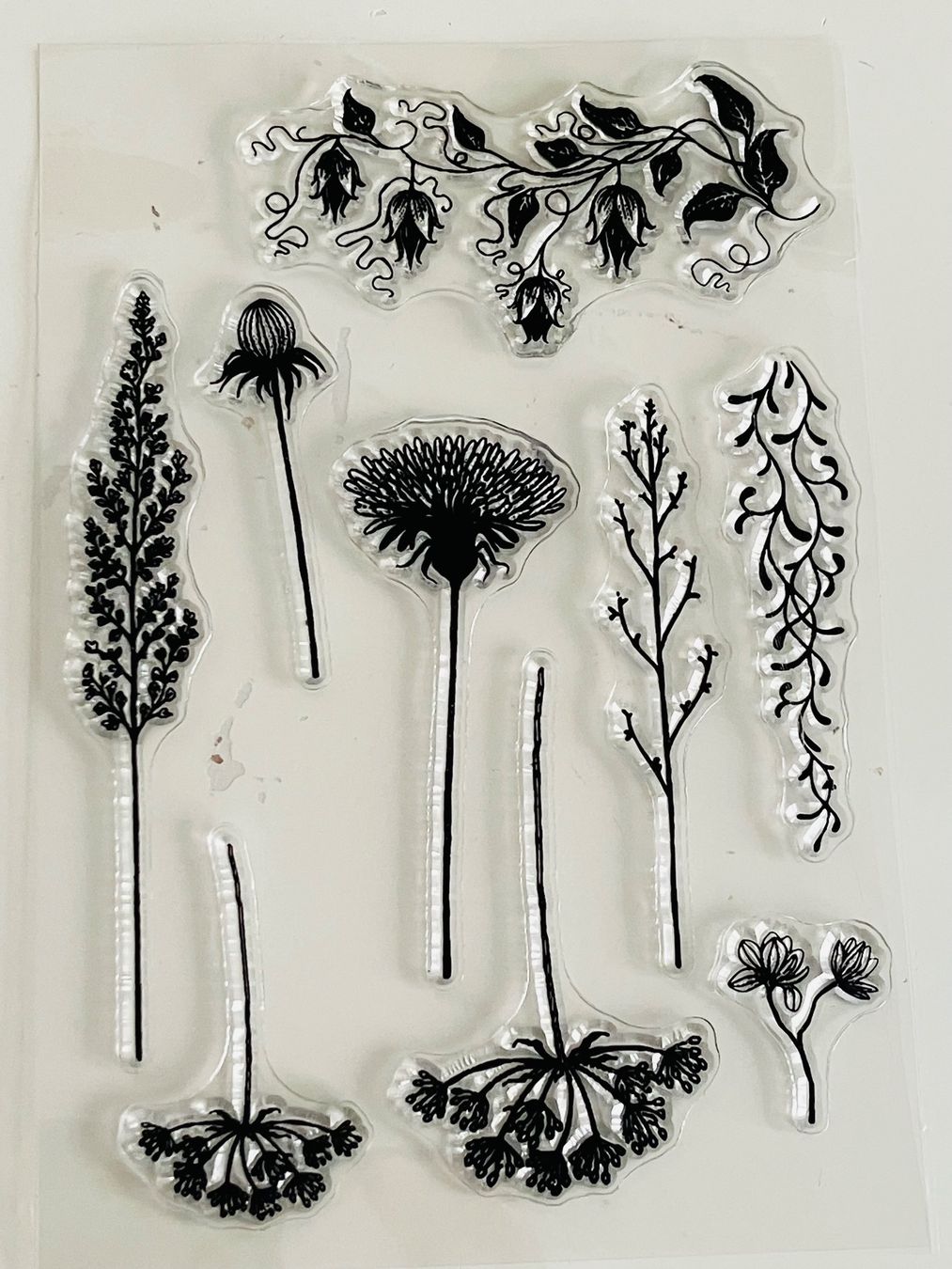 Timbri: Neues Set Motiv-Stempel  Gräser, Blumen – Nuovo e nell'imballaggio originale da Effretikon venduto da wenuss 2