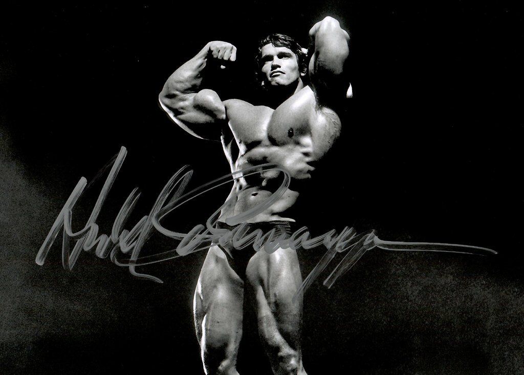 Autogramme: Arnold SCHWARZENEGGER / TOP AUTOGRAMM – Gebraucht aus Egg b. Zürich von Dbunny