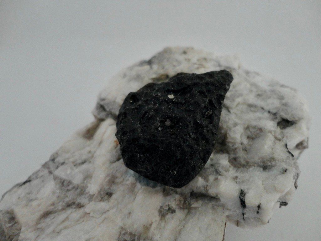 Minerali & Pietre curative: Tektite roh Heilstein – Nuovo (secondo la descrizione) da Biberist venduto da Steine 1
