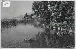 Am Zugersee