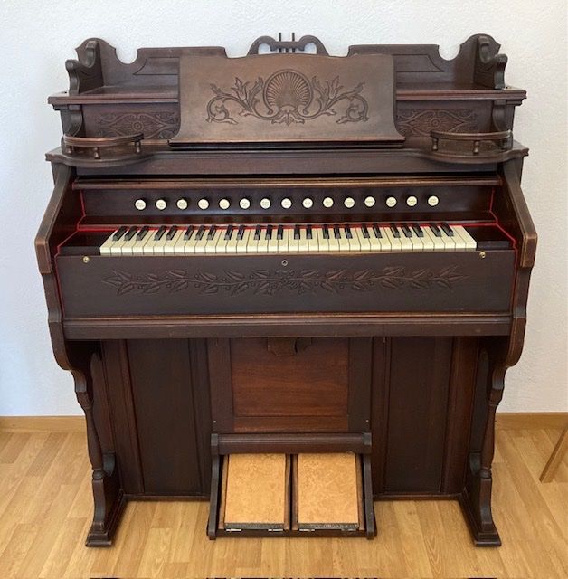 Strumenti musicali: ESTEY HARMONIUM – Usato da Brugg AG venduto da olamim