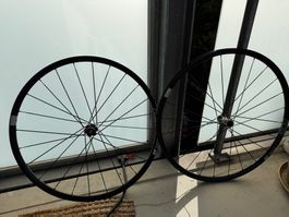 DT Swiss PR 1600 SPLINE Disc Laufradsatz 700C – Shimano/SRAM