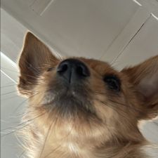 Profile image of skretchy