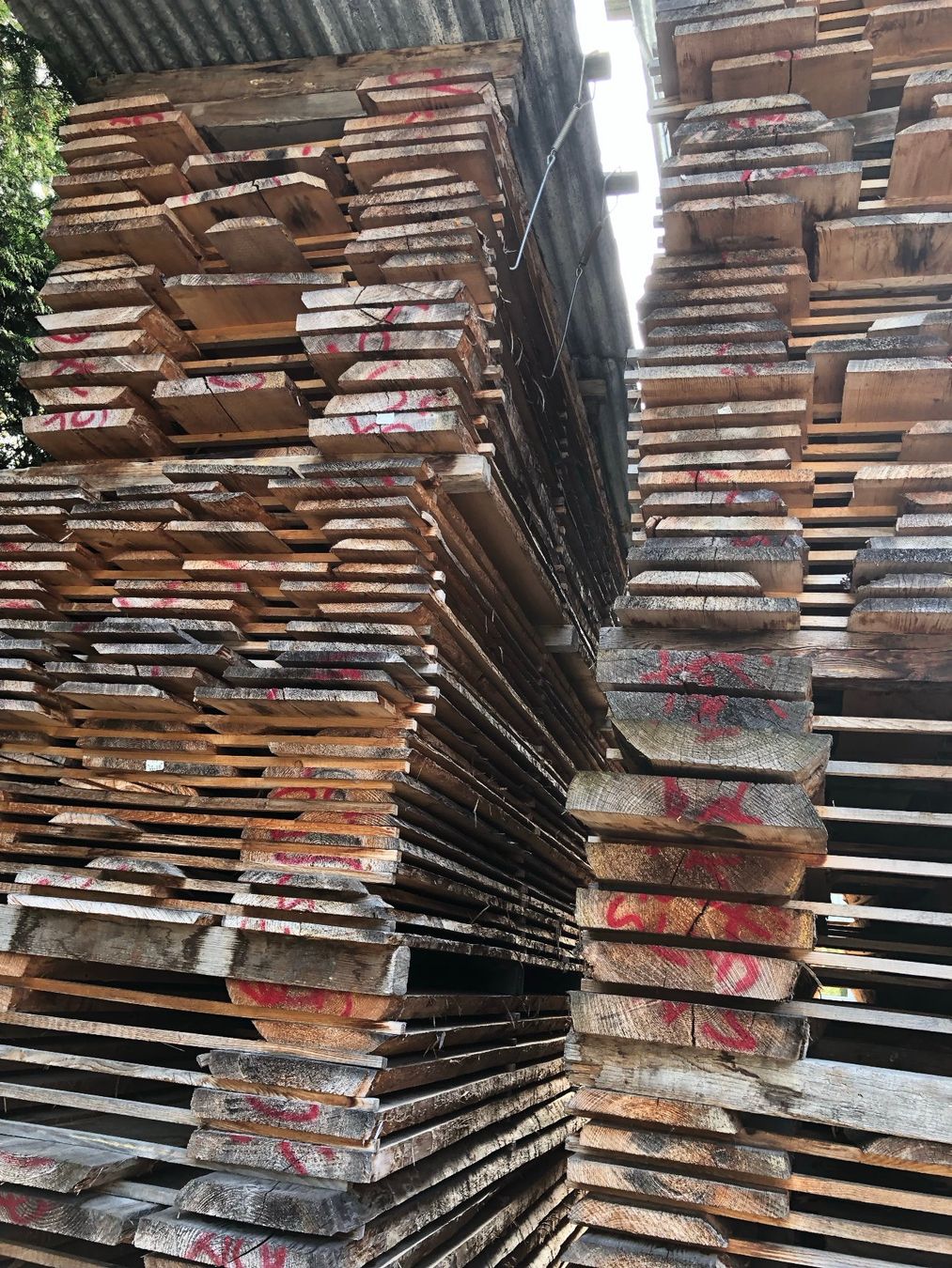 Articoli in legno: Klotzbretter – Nuovo (secondo la descrizione) da Hochdorf venduto da Sifrag 1