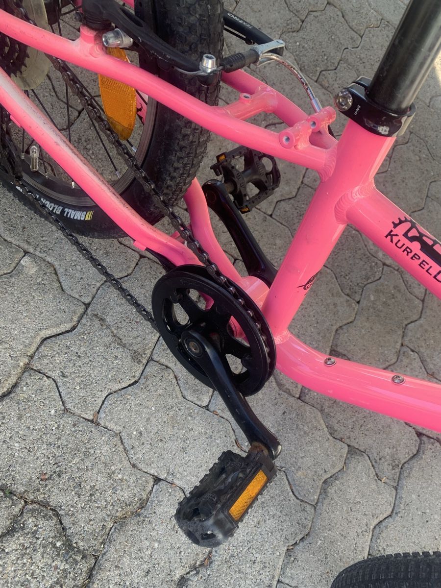 Naloo Biciclette: Naloo chameleon 20 Zoll – Usato da Binz venduto da denise014 4