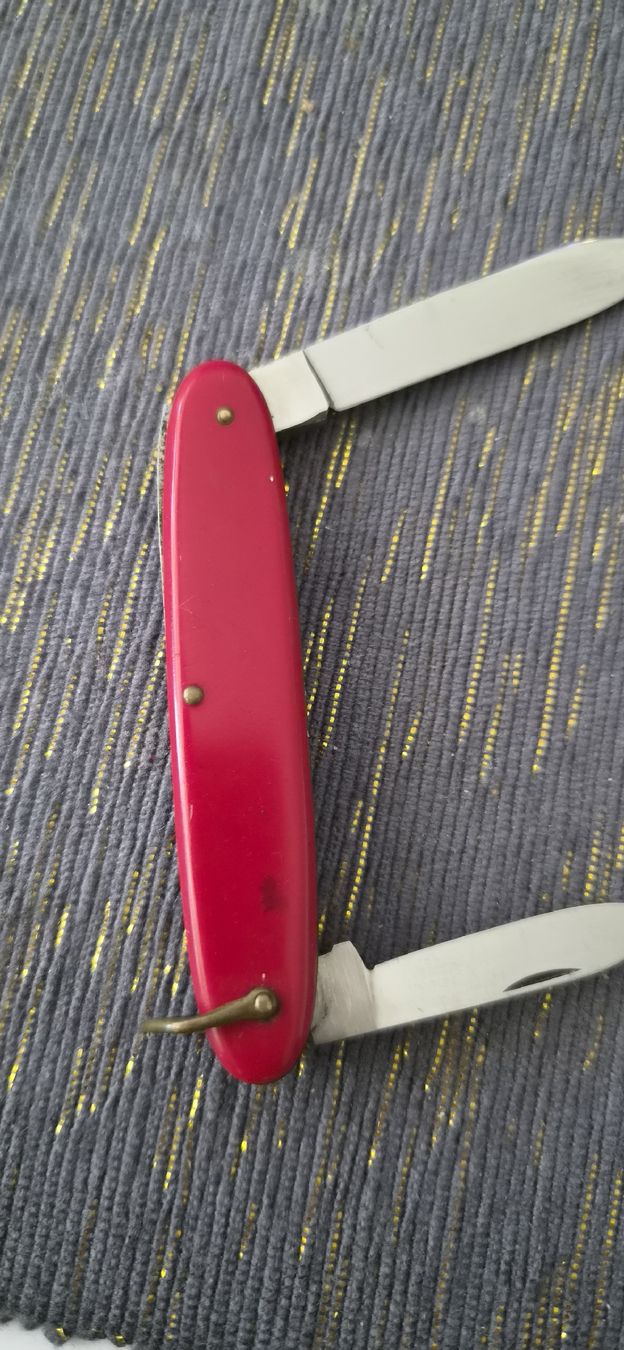 Victorinox Coltelli tascabile: Victorinox Victoria – Usato da Bern venduto da BullseyeCH 2