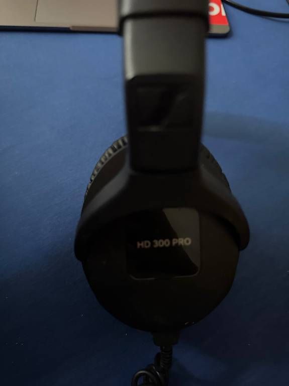 Cuffie: Sennheiser HD-300 PROtect – Usato da Reinach BL venduto da j_7fjs 1
