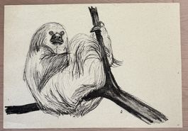 Original-Lithografie – Faultier im Baum monogrammiert HS