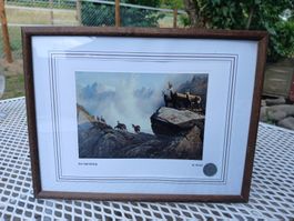 MARCEL MOSER TIERMALER limitierter Kunstdruck *AM GAMSBERG*