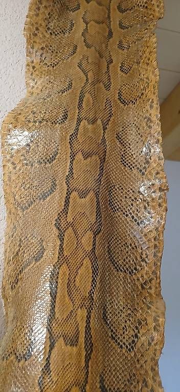 Il mondo degli animali: Pyton Schlangenhaut – Usato da Humlikon venduto da kes_k6dl 1