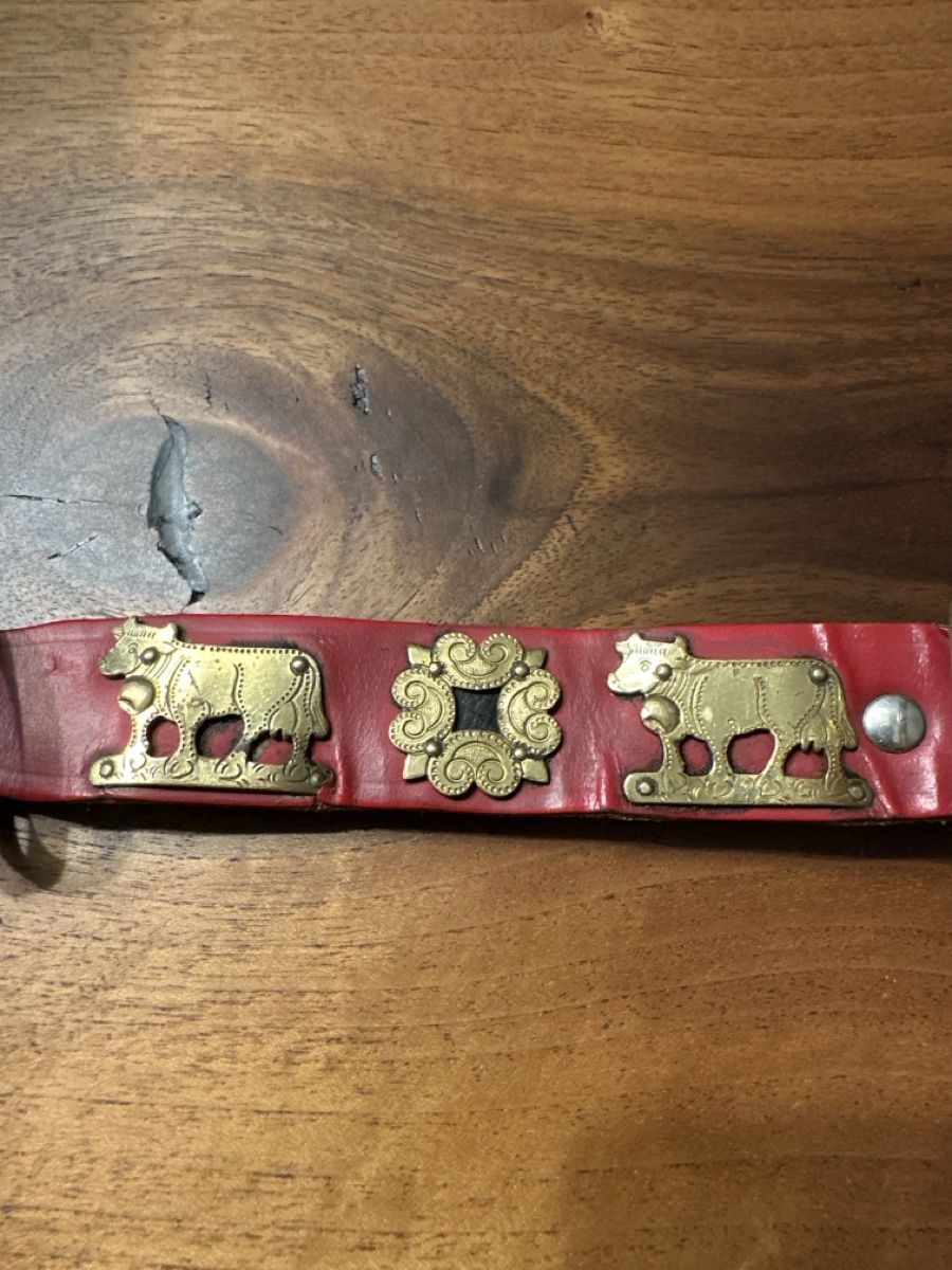 Dekobänder: Hundehalsband Appenzell – Gebraucht aus S. Antonino von Swissbutler 1