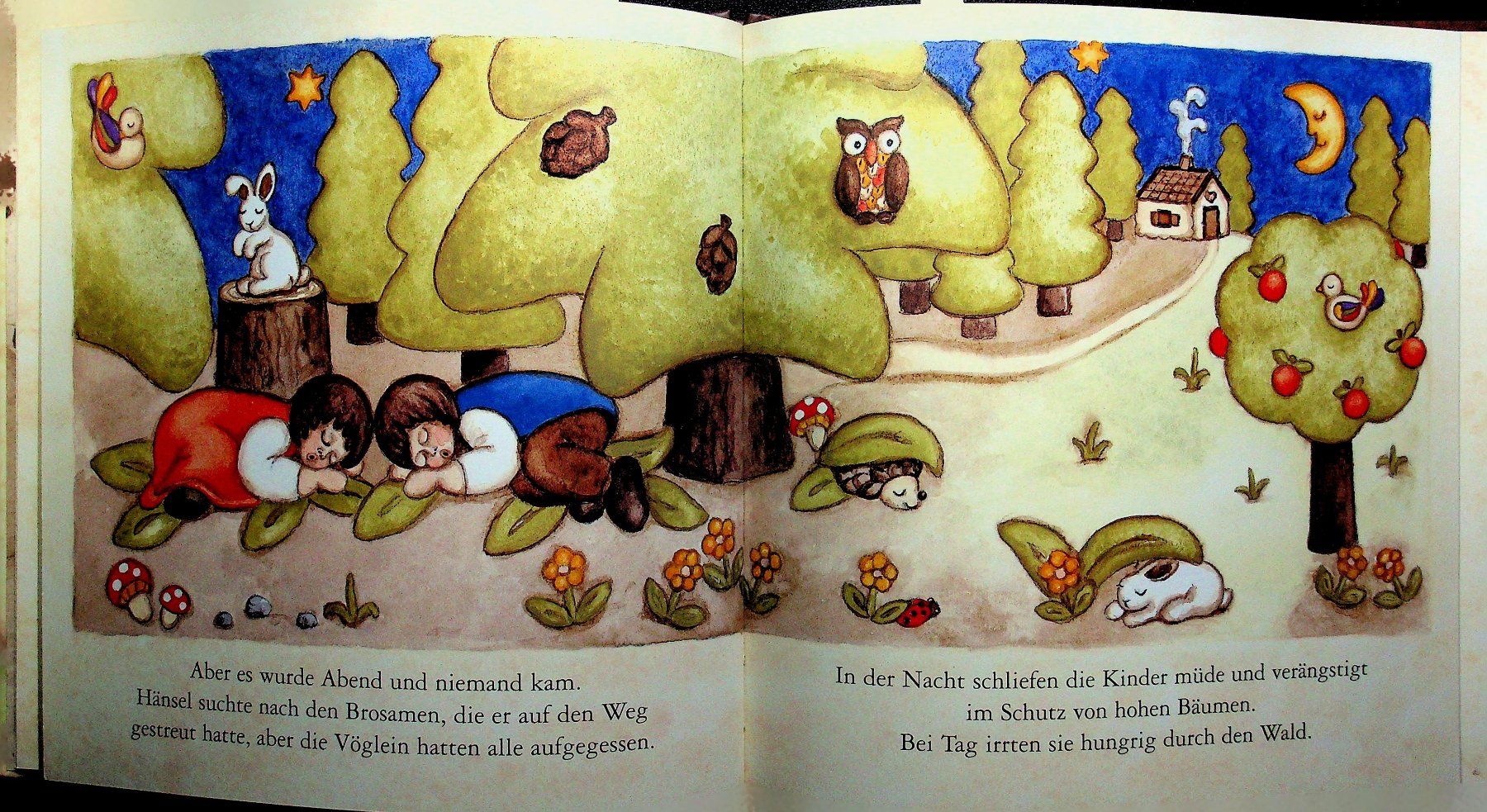 Bücher: Thun Märchen Hänsel und Gretel – Gebraucht aus Reitnau von Zaomir 5
