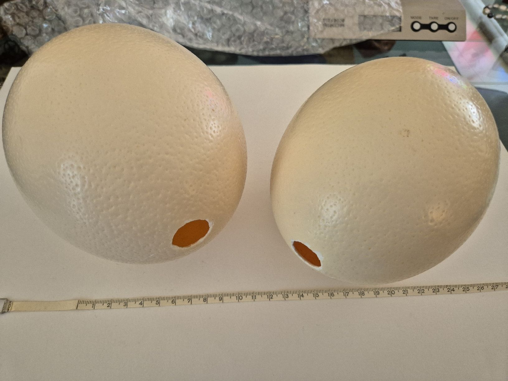 Tutte le decorazioni: Straussen Ei 2 Stück Zustand Eier Basteln Ostern – Usato da Russikon venduto da eunicetungol 3