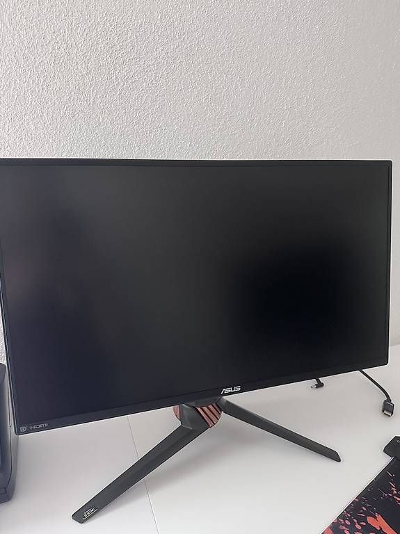 Monitor: Monitor ASUS ROG Swift PG258Q 24.5" 240Hz – Usato da Erstfeld venduto da PokeSandero
