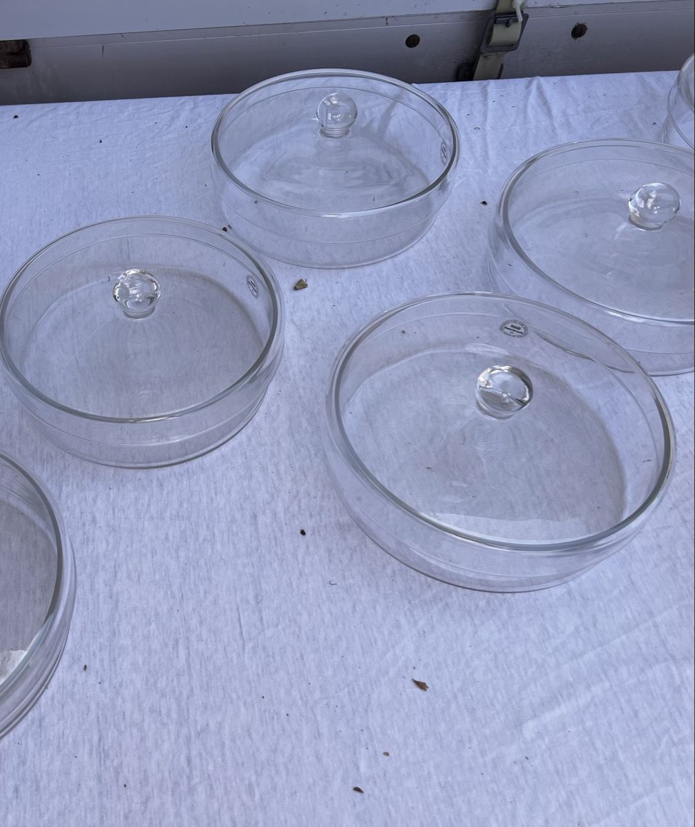 Verres: Glas Schalen mit Deckel (70) – D'occasion à Glattfelden par maa_qcj8 3