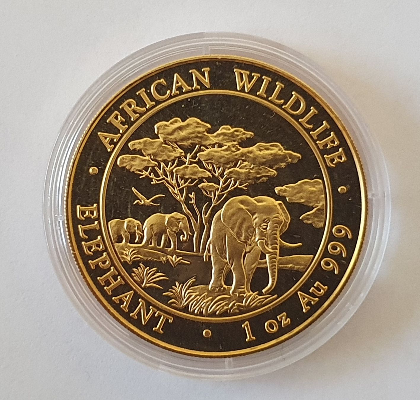 Alle Münzen: Somalia Elefant Goldmünze 2012 – Gebraucht aus Greppen von hploetscher