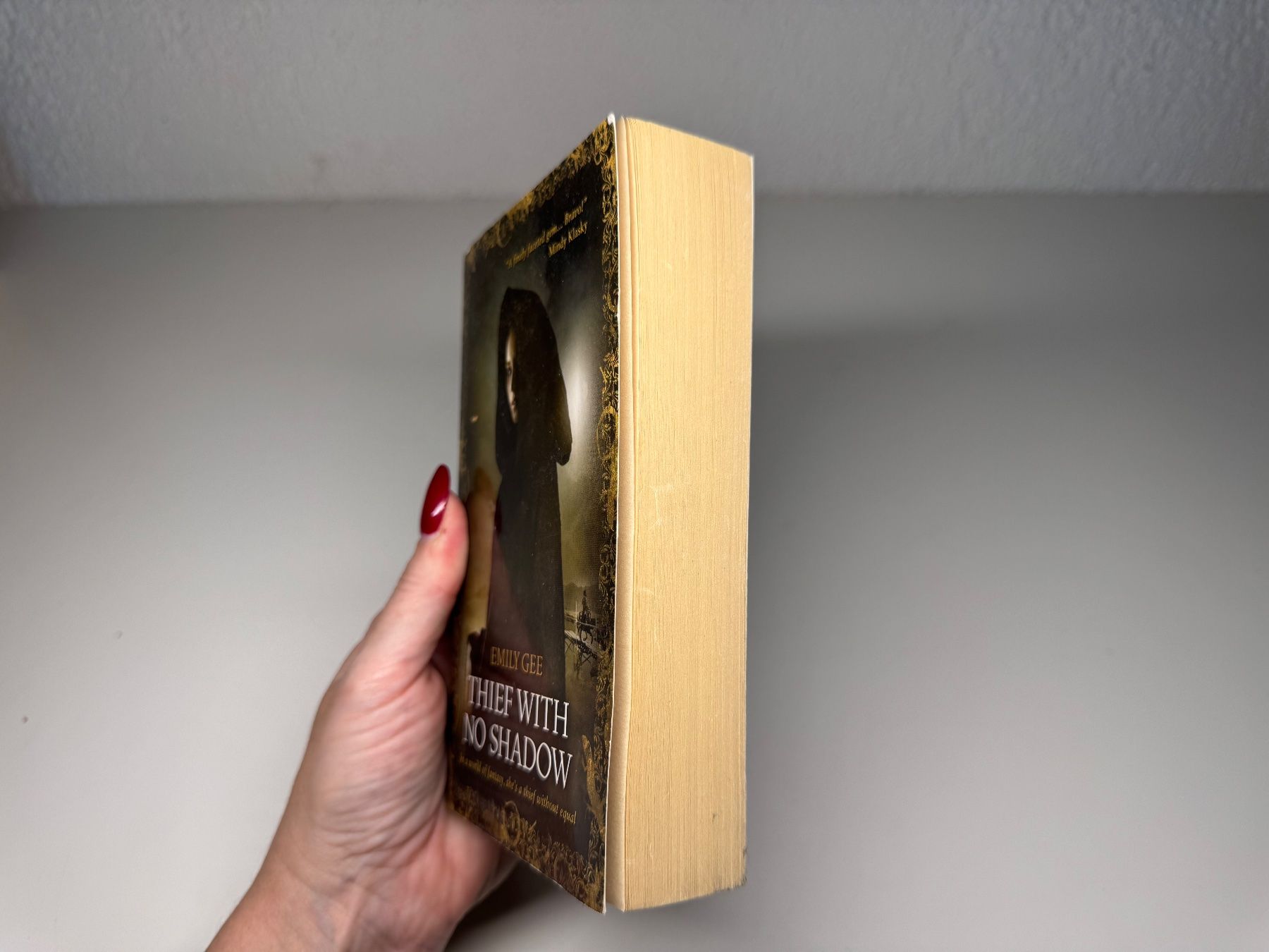 Libri: NOVEL: Emily Gee, Thief with no Shadow – Usato da Grosswangen venduto da English_books 1