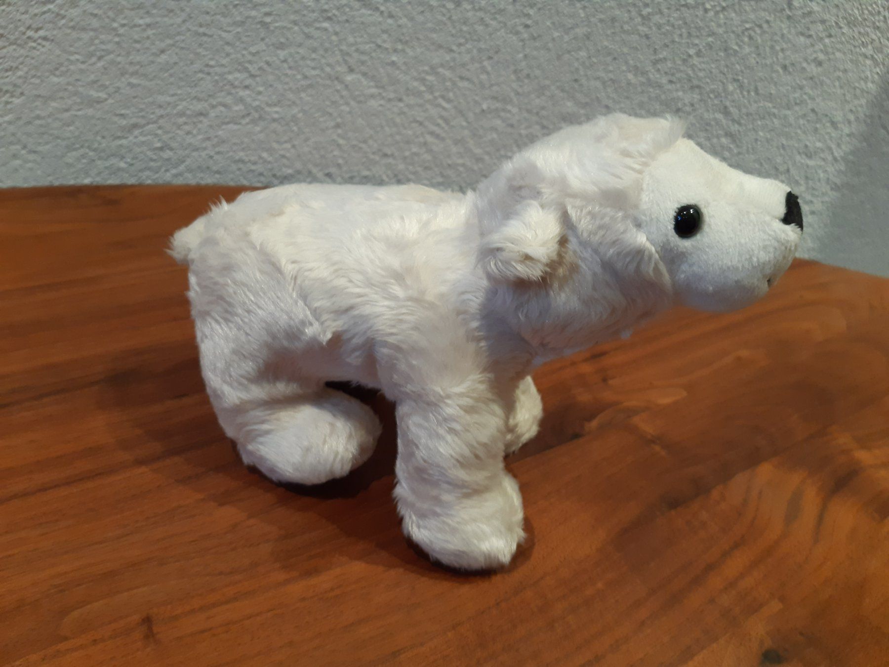 Steiff Giocattoli: Steiff Eisbär Knut Zoo Berlin – Nuovo (secondo la descrizione) da Aadorf venduto da Merlin111 1