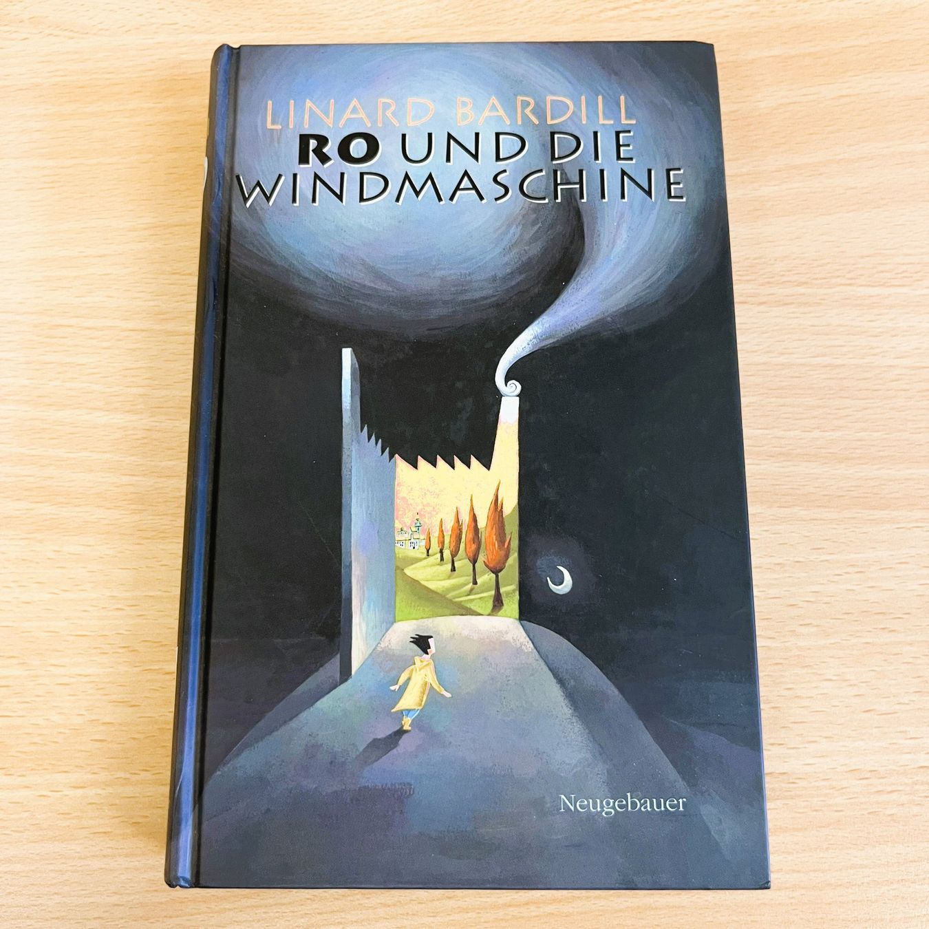 Libri: Linard Bardill - Ro und die Windmaschine – Usato da Amlikon-Bissegg venduto da allerlei-versand