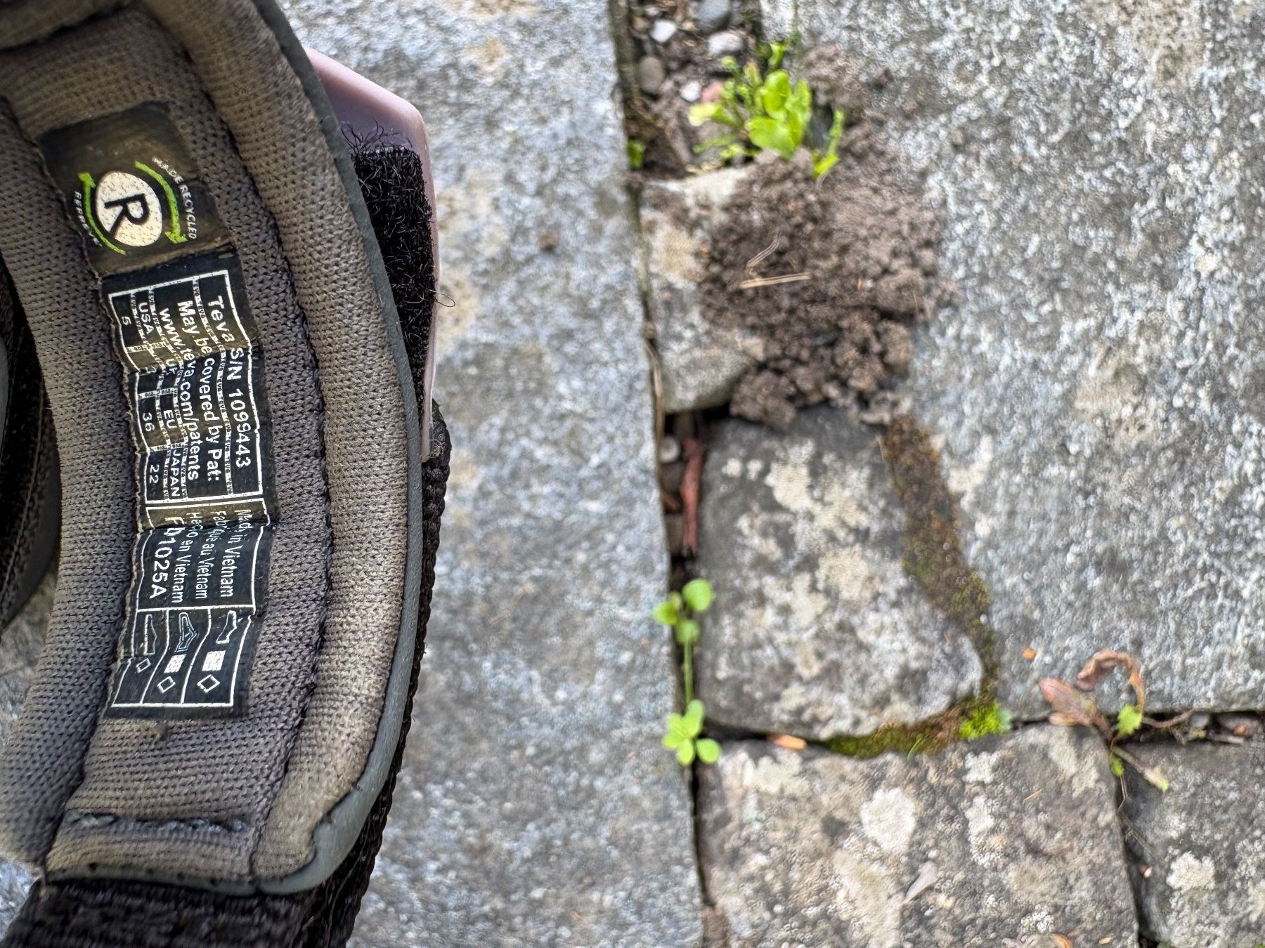 Teva Scarpe da donna: Teva Sandalen: Terra Fi5 Universal – Usato da Zürich venduto da que_kf7d 3