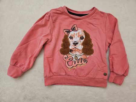 Pullover Gr. 92