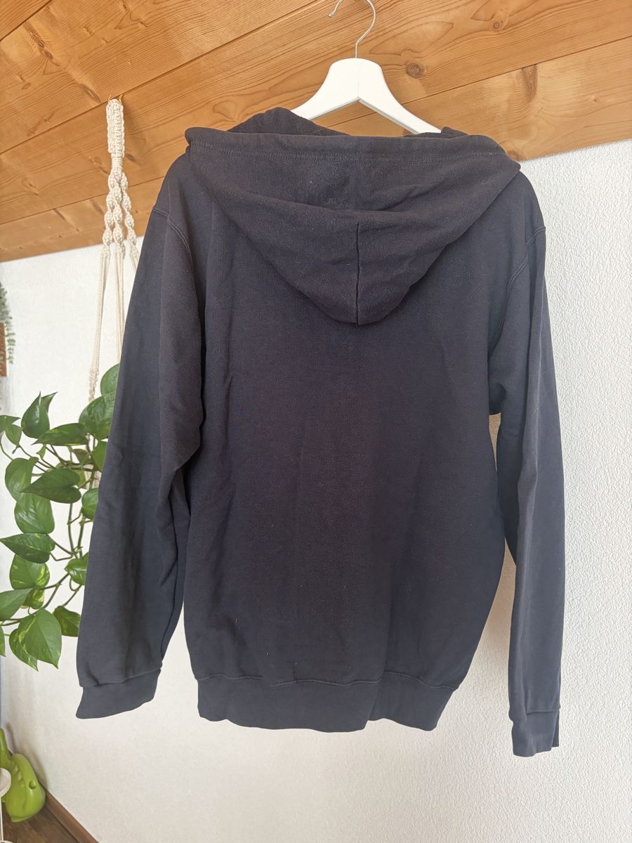 Champion Maglioni & Felpe: Champion Hoodie – Usato da Rüderswil venduto da dariasophialuisa 2