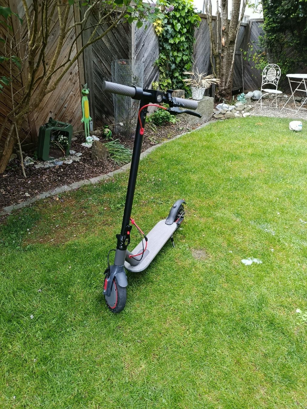 Scooter: E-Scooter – Usato da Oberriet SG venduto da Allanhurst 9