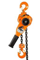 ProLift-Montagetechnik 1000kg Kettenzug