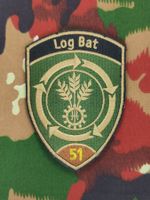 Verbandsabzeichen Log Bat 51 Kp 2