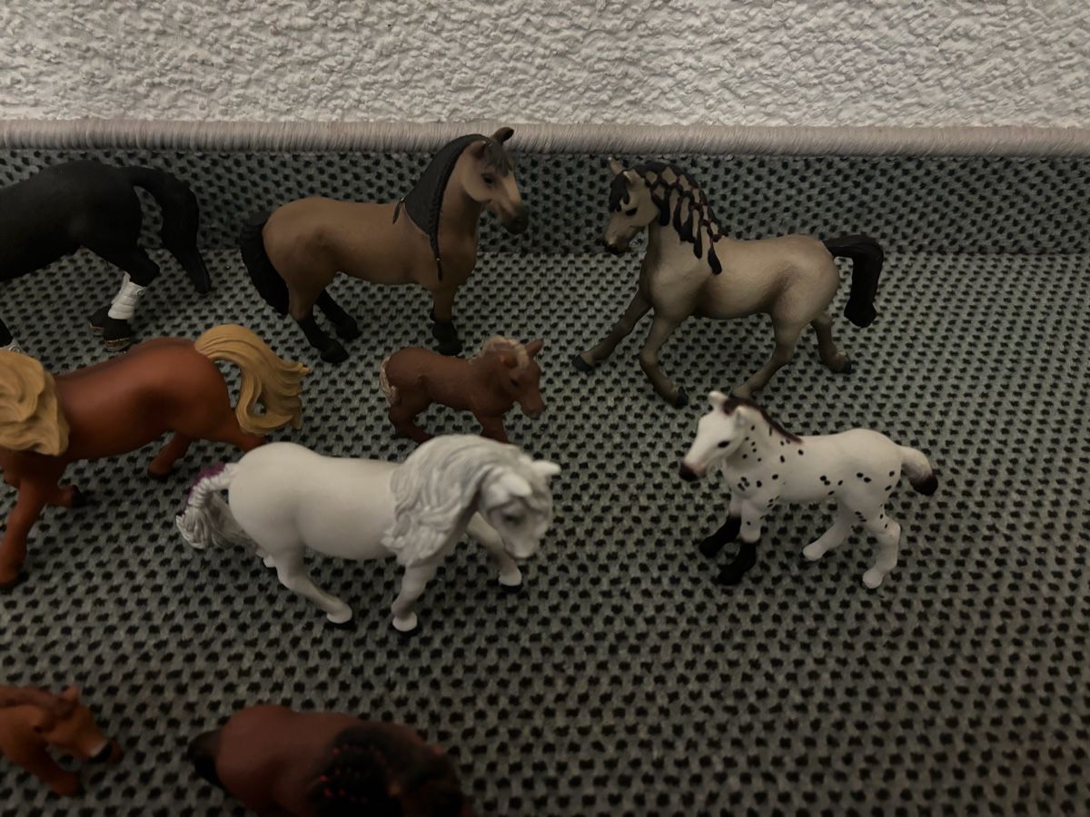 Schleich Statuette: Grosse Sammlung Schleich Pferde – Usato da Uetikon am See venduto da Winnieclaudia 5