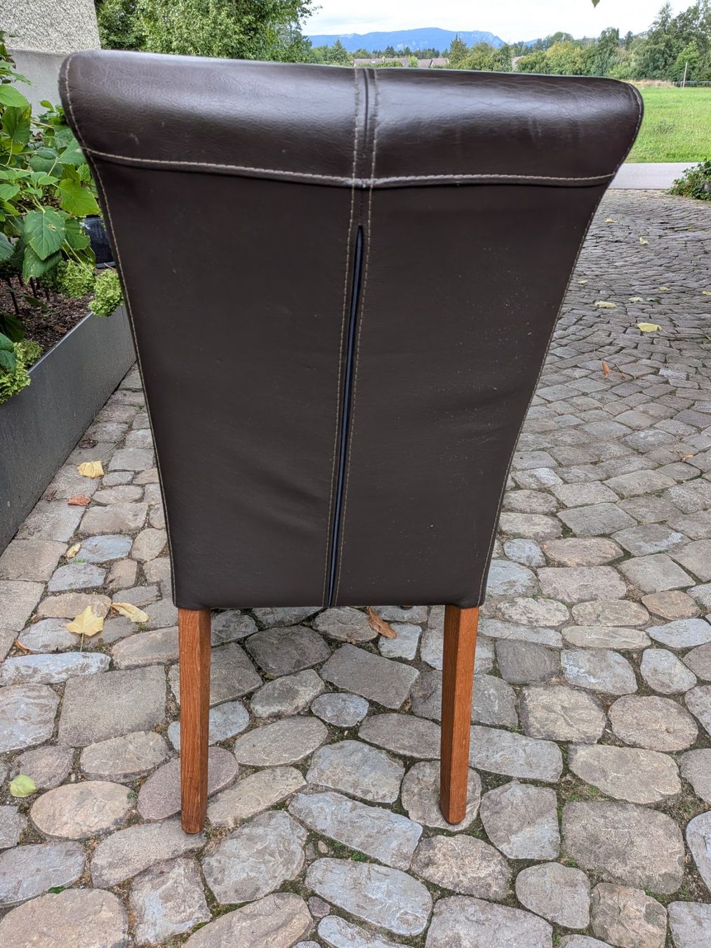 Chaises: 2 Esszimmerstühle Leder – D'occasion à Aefligen par madakape 2