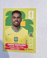 Panini Gabriel Magalhães BRA 6