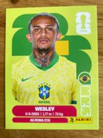WM Sticker BRA 8