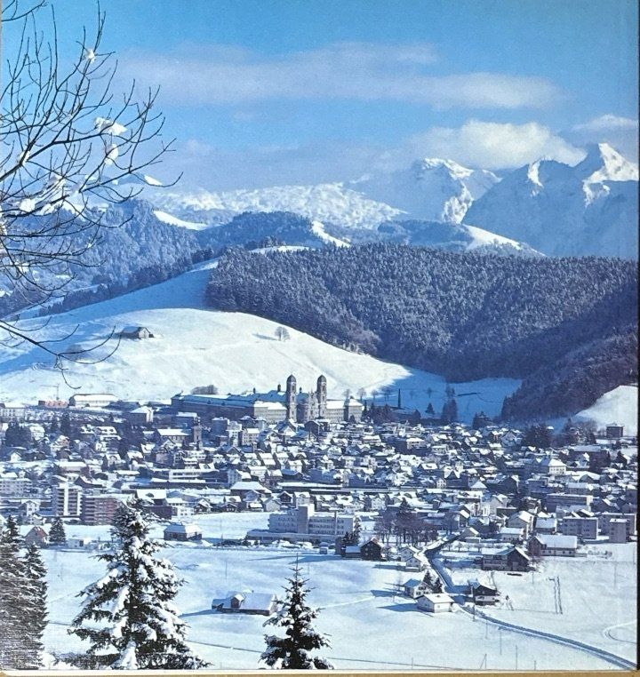 Bücher: Die Waldstatt Einsiedeln – Gebraucht aus Sarnen von Livres 1