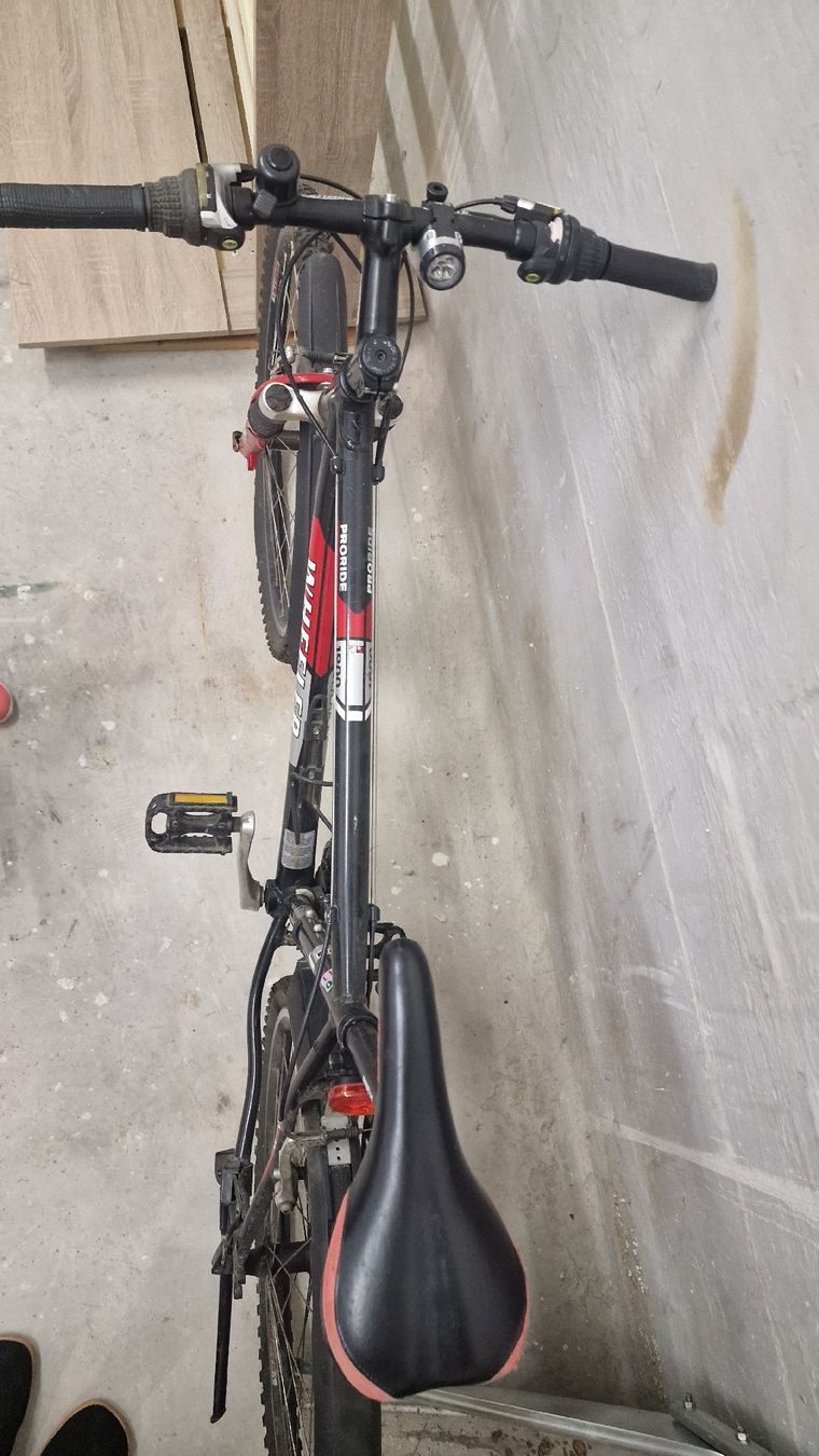 Biciclette: Wheeler Proride Mountainbike 19' – Usato da Seftigen venduto da ben_wr99 1