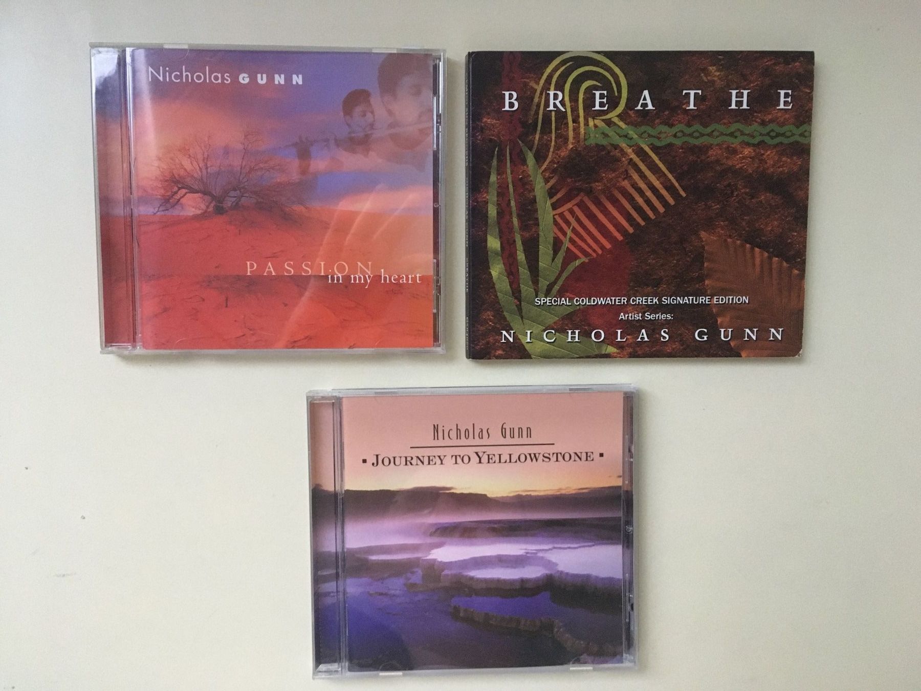 CDs: Nicholas Gunn 7 CD-Sammlung Instrumental New Age – Gebraucht aus Rüti ZH von Ochello 1