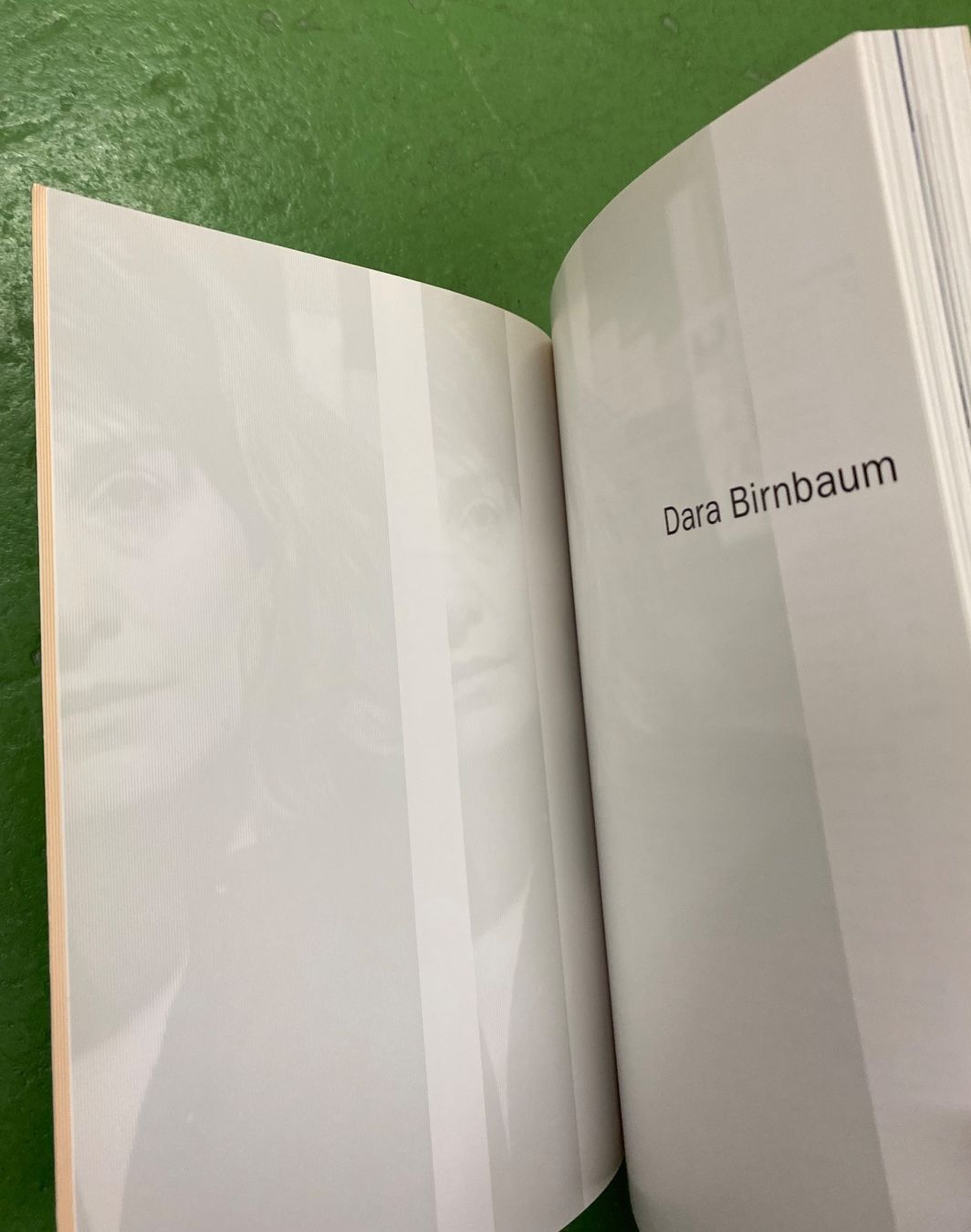 Libri: Dara Birnbaum: 1982 - 1995 – Usato da Basel venduto da Ostschweiz06 1