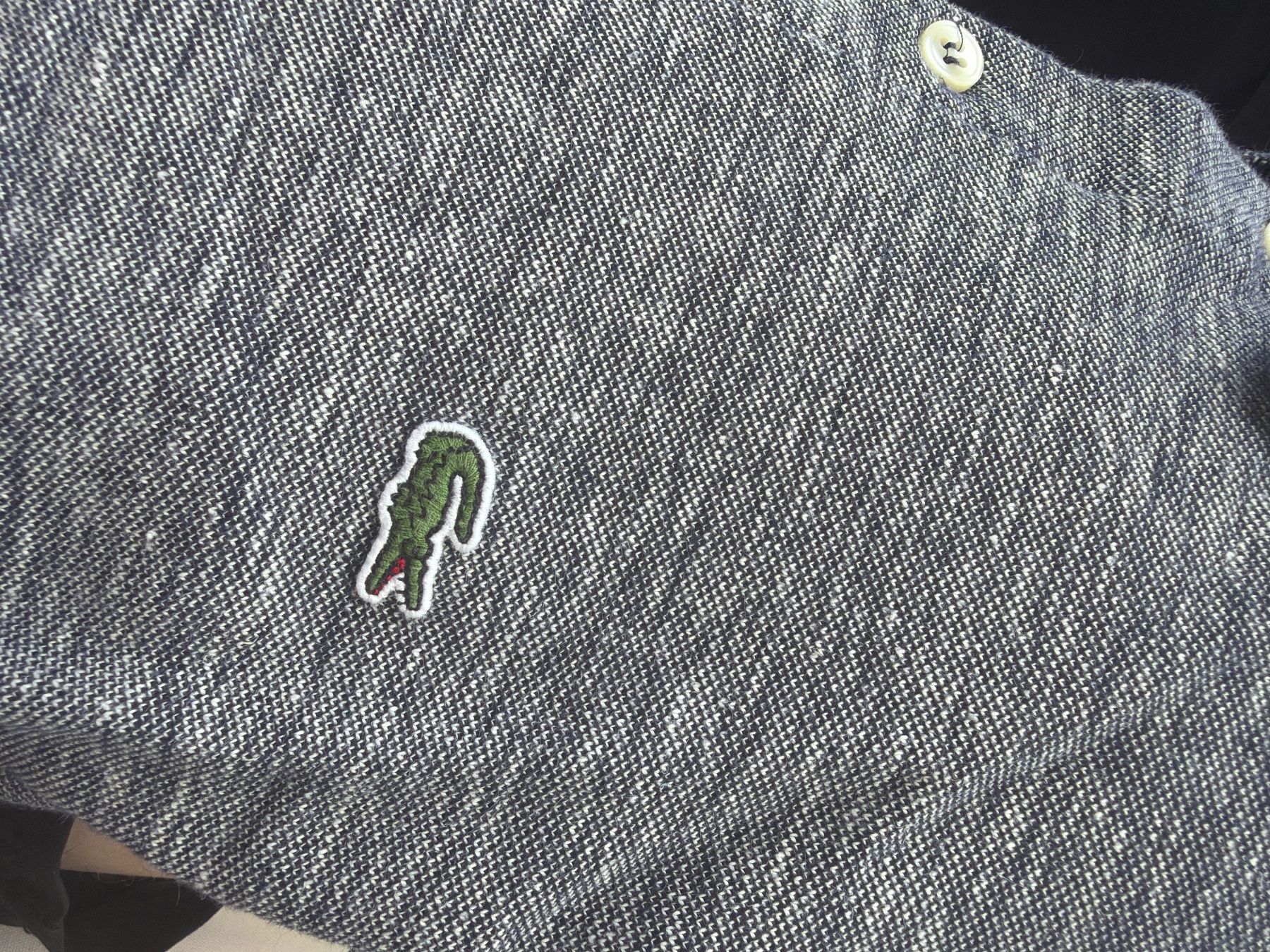 Lacoste Magliette Polo: Polo Lacoste Gris - Taille M – Nuovo (secondo la descrizione) da Hauterive NE venduto da Leo_o 4