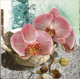 Tovaglioli: 2 Servietten  Tiger  Orchideen II – Nuovo (secondo la descrizione) da Basel venduto da Happybaer