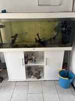 Juwel Aquarium 450L