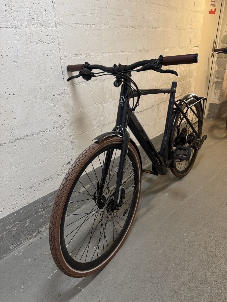 Biciclette: E-Bike Ego Movement – Difettoso da Wil SG venduto da andi_aliaj