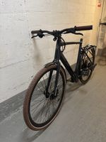E-Bike Ego Movement