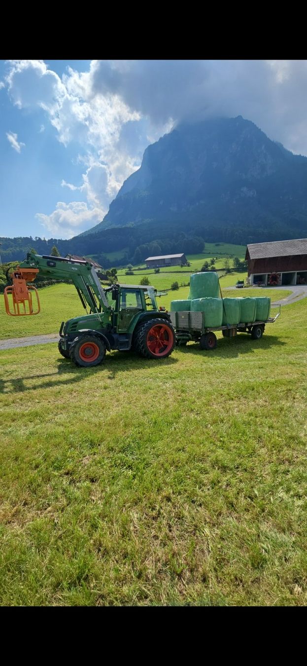 Rimorchi: Ballenwagen – Usato da Haslen GL venduto da dodikeller 3