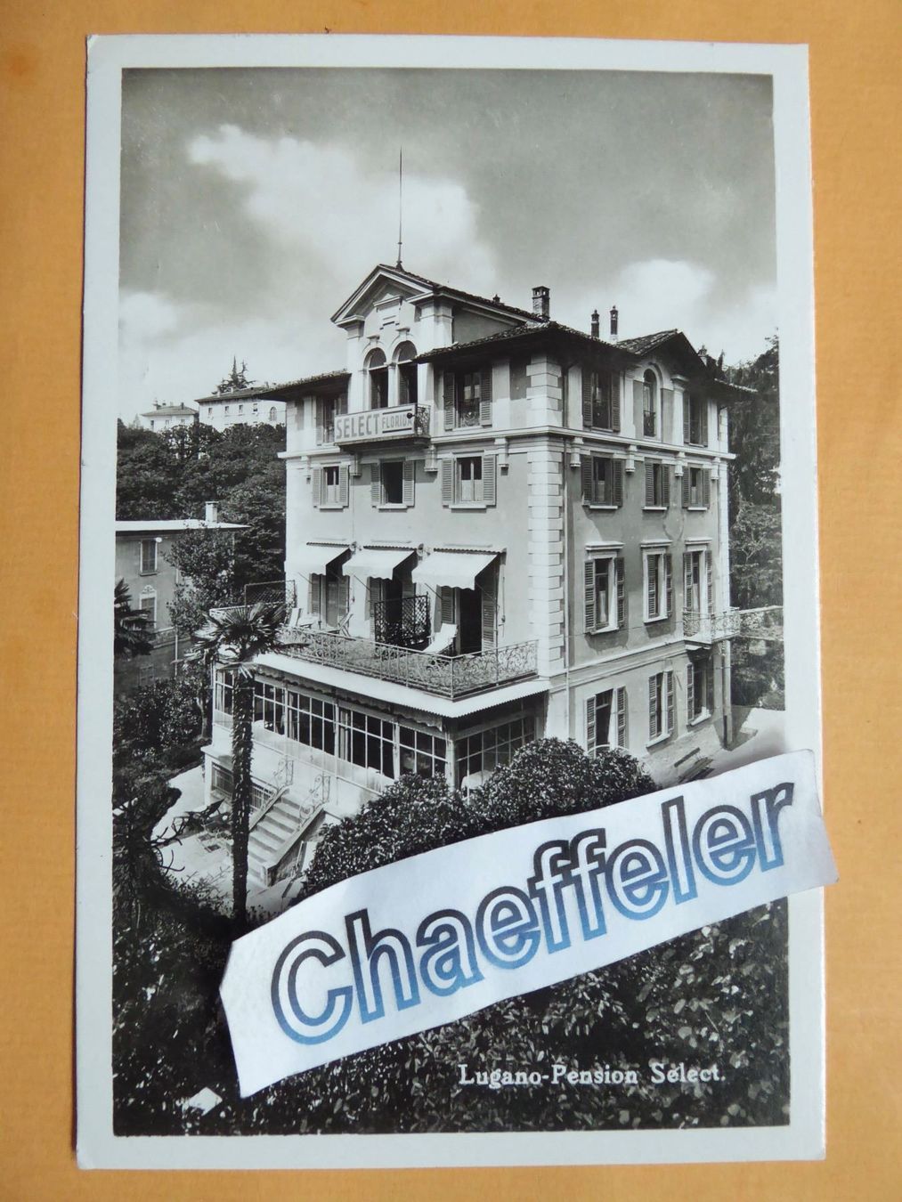 Cartoline postali: Lugano-Pension "Selecta" Lugano – Nuovo (secondo la descrizione) da Zürich venduto da Chaeffeler