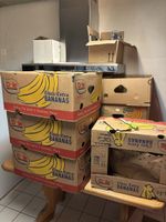 10 Bananaboxen z.B. für Umzug