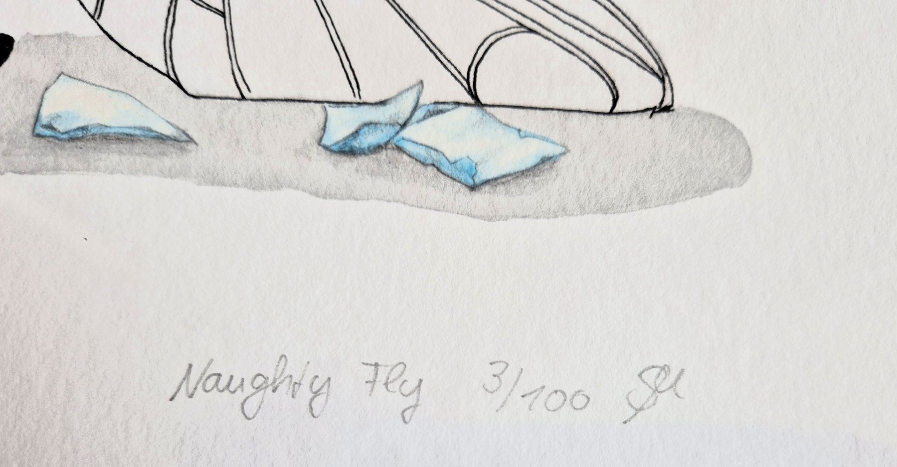 Grafica & Litografie: Naughty Fly - Lithographie – Usato da zürich venduto da kulturgrab 2