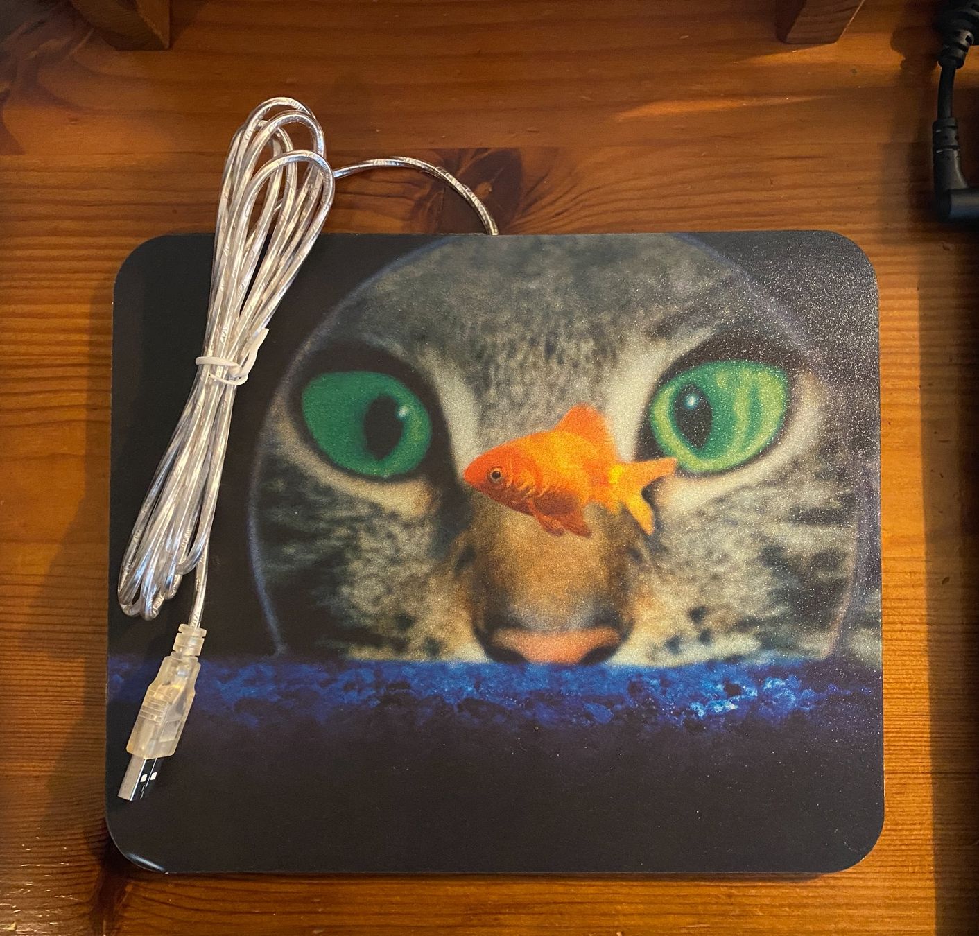 Tappetini per mouse: USB Mausmatte Katze und Fisch – Nuovo (secondo la descrizione) da Allschwil venduto da Dangermouse07