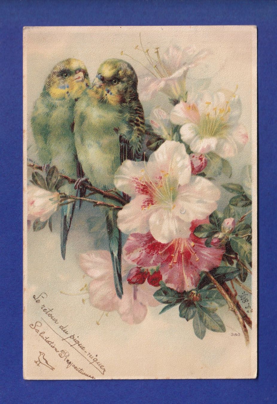 Cartoline postali: OISEAU - Perruches – Usato da Pully venduto da nicecards-shop